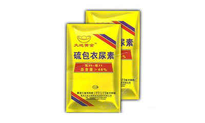 ��������ؼ��